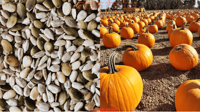 pumpkin to boost immunity